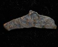 Дельфин. Ольвия