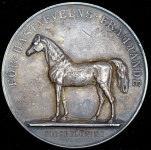 Медаль "За содействие в разведении лошадей" 1928 (Швеция)