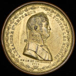 Набор из 3-х накладок