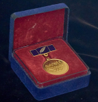 Медаль "Выпускник 2007" (в п/у)