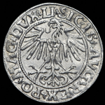 Полугрош 1549 (Литва)