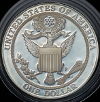 1 доллар 2008 "Белоголовый орлан" (США)