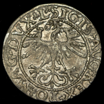 Полугрош 1561 (Литва)