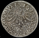 Полугрош 1562 (Литва)