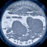 100 рублей 2008 "Сохраним наш мир: Бобер" СПМД