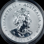 1 доллар 2020 "Паук Redback spider (Австралийская вдова)" (Австралия)