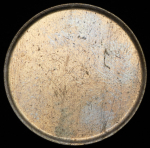 Монетная заготовка 5 рублей 