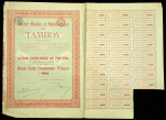 Акция 1911 "Тамбовская добывающая металлургическая компания" 