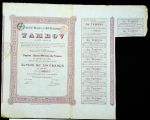 Акция 250 франков 1899 "Тамбовская добывающая металлургическая компания"