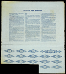 Пять акциий  по 100 франков 1895 "Доменная компания Тулы"