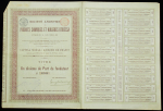 Учредительная акция 1896 "Продукты химии и маслобойни"