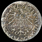 1/2 гроша 1555 (Литва)