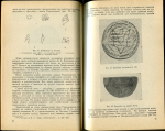 Книга Добровольский И.Г. Дубов И.В. Кузьменко Ю.К. "Граффити на восточных монетах" 1991 