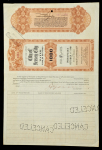 Облигация 1000 долларов 1911 "City of Jersey Water Gold Bond" (США)