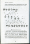 Книга Зайцев В.В. "Русские монеты времени Ивана III и Василия III" 2006