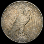 1 доллар 1925 (США) без букв