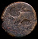 Фалус (Персия)