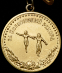 Золотая медаль "За всесоюзный рекорд: Эстафета (женская)"