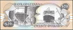 20 долларов 1989 (Гайана) 