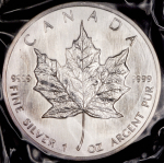 5 долларов 1989 "Кленовый лист" (Канада) (в запайке)