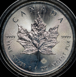 5 долларов 2014 (Канада)