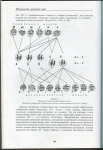 Книга Зайцев В В  "Русские монеты времени Ивана III и Василия III" 2006