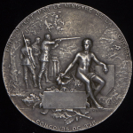 Медаль "Стрелковый фестиваль" (Франция)