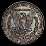 1 доллар 1880 (США) CC